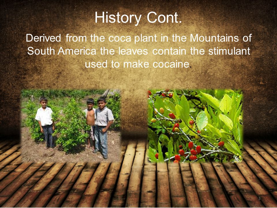 A paper on history use and effects of cocaine